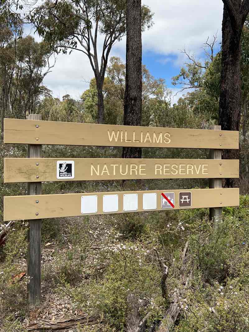 walking near me in Williams Nature Reserve in spring