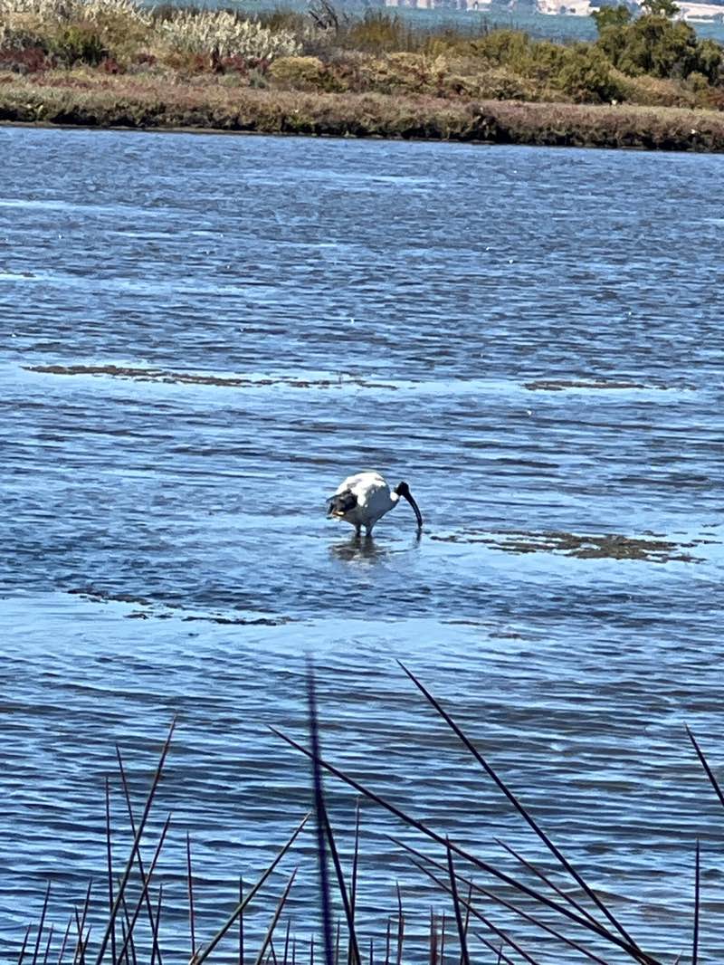 walking near me in Len Howard Conservation Park in summer