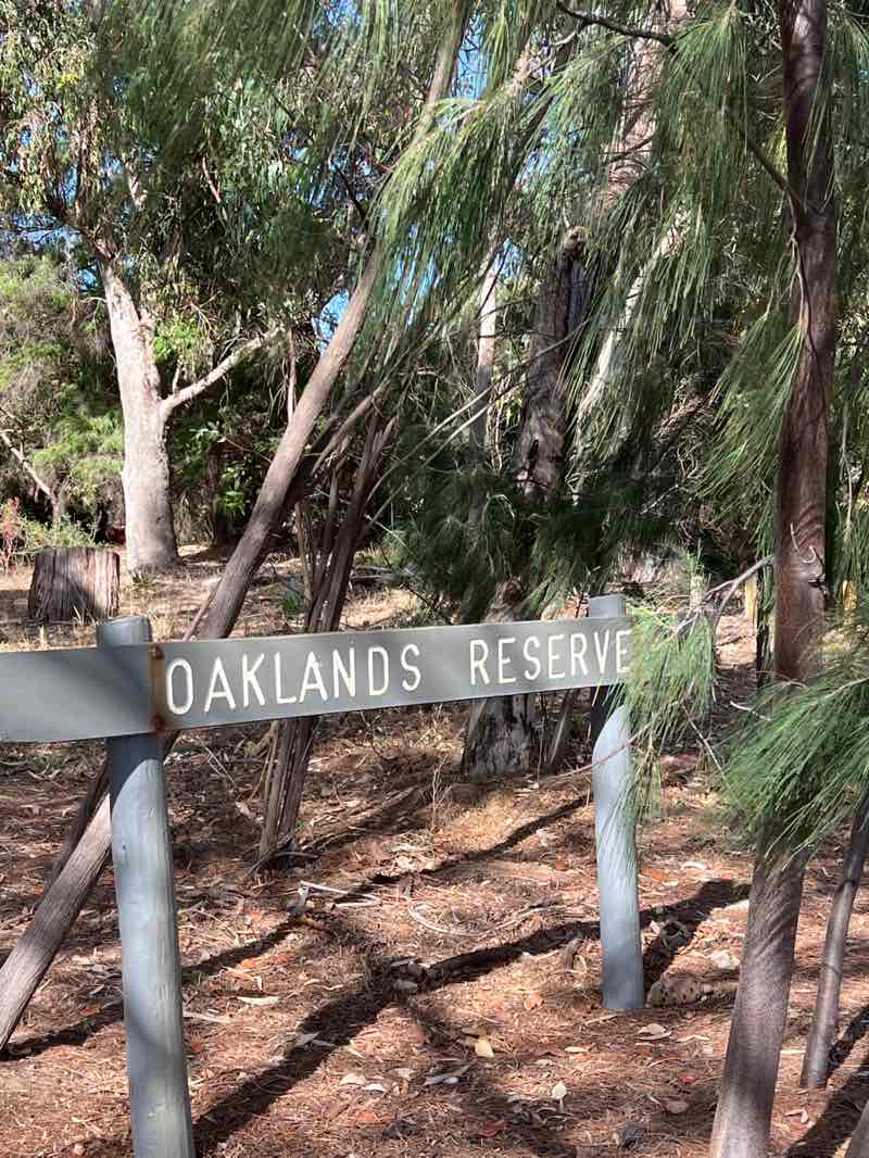 walking near me in Oaklands Reserve in summer