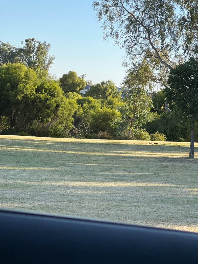walking near me in Powdermill Park in summer