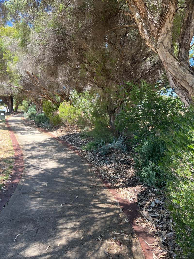 walking near me in Joseph Cooper Park in summer