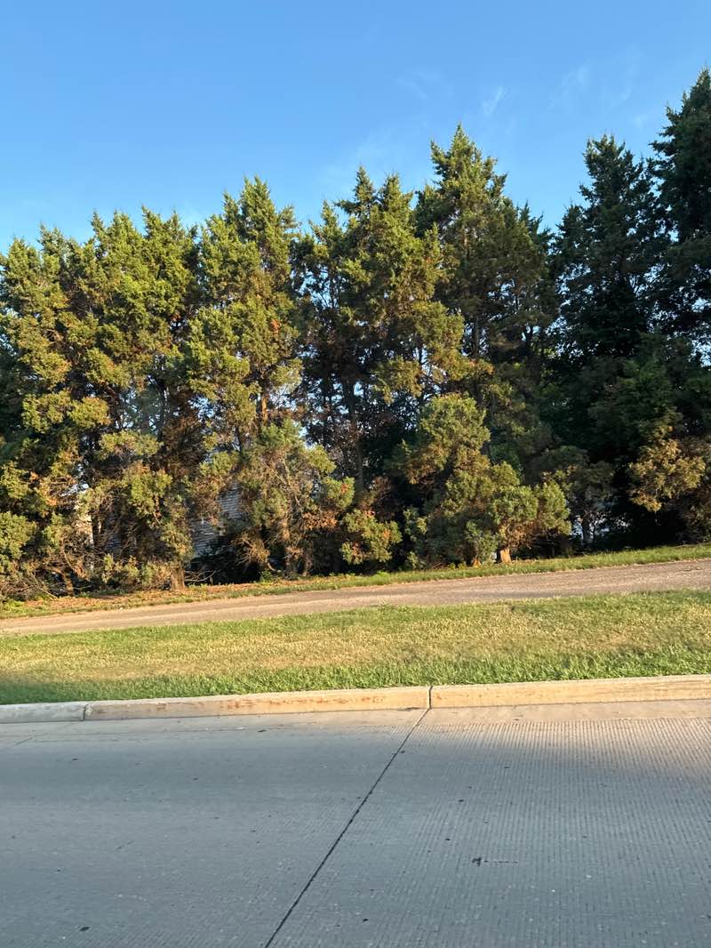 walking near me in Frontenac Park in summer