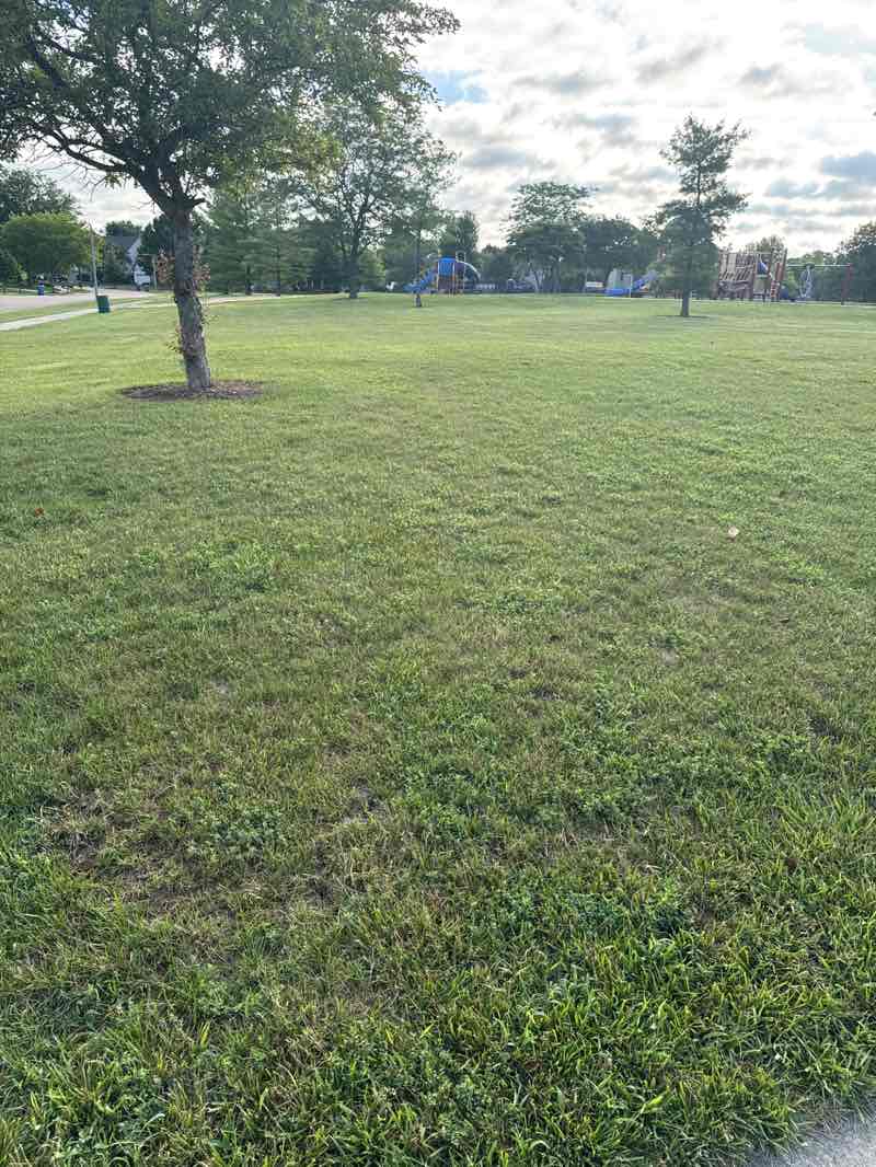 walking near me in Brooklyn Park in autumn