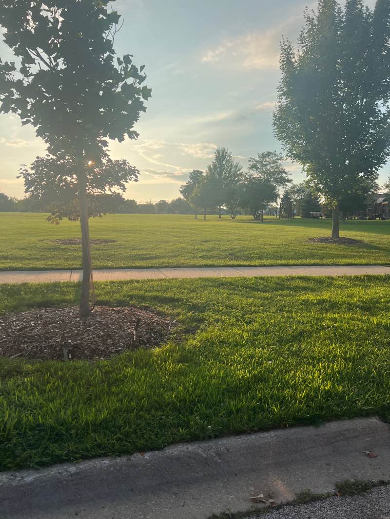 walking near me in Harris Fawell Park in autumn