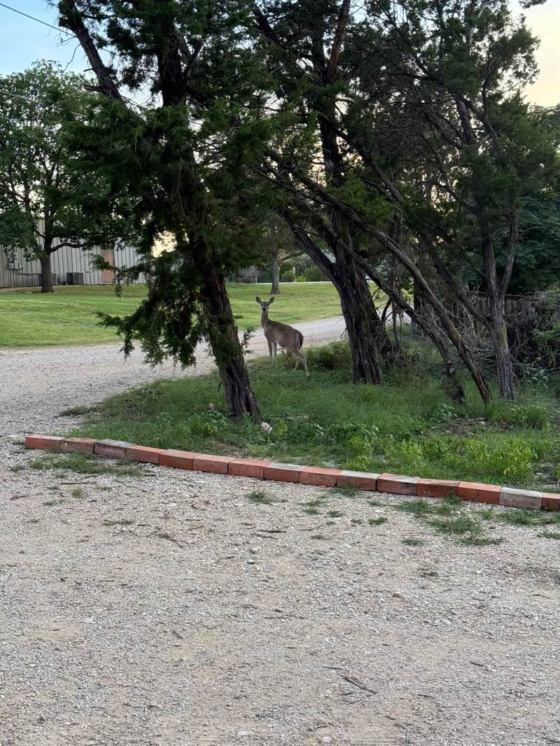 walking near me in Bandina Christian Youth Camp in autumn