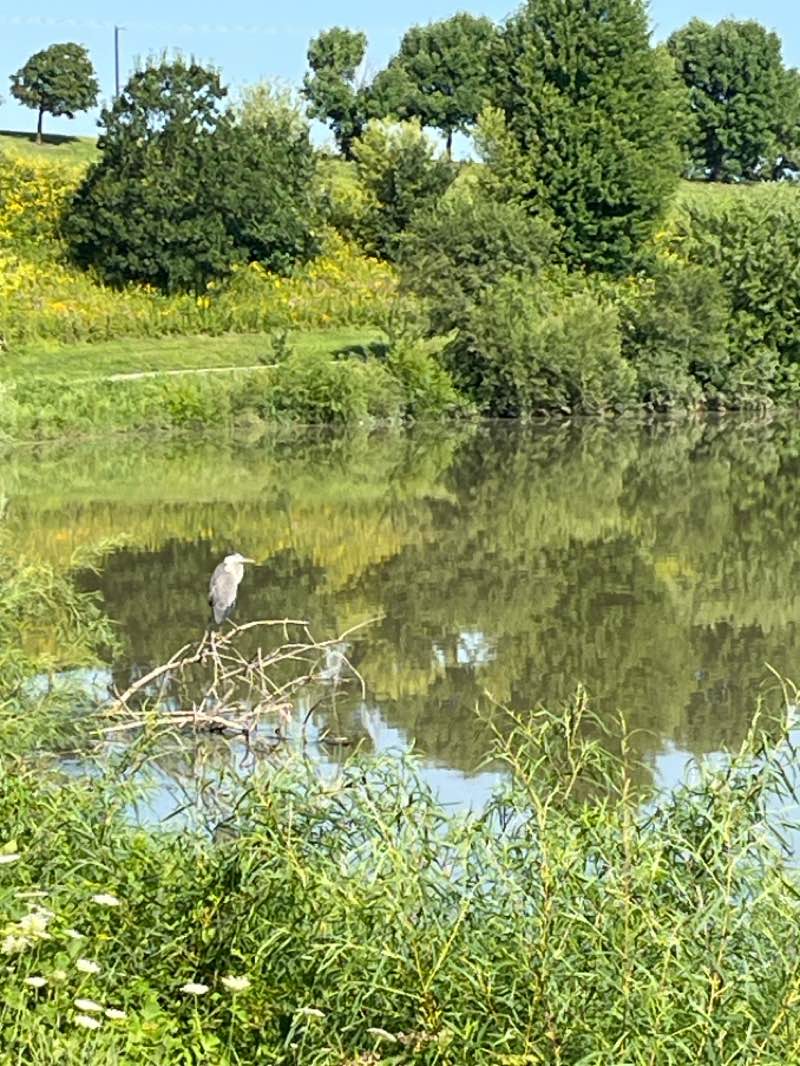 walking near me in Bergfeld Recreation Area in summer