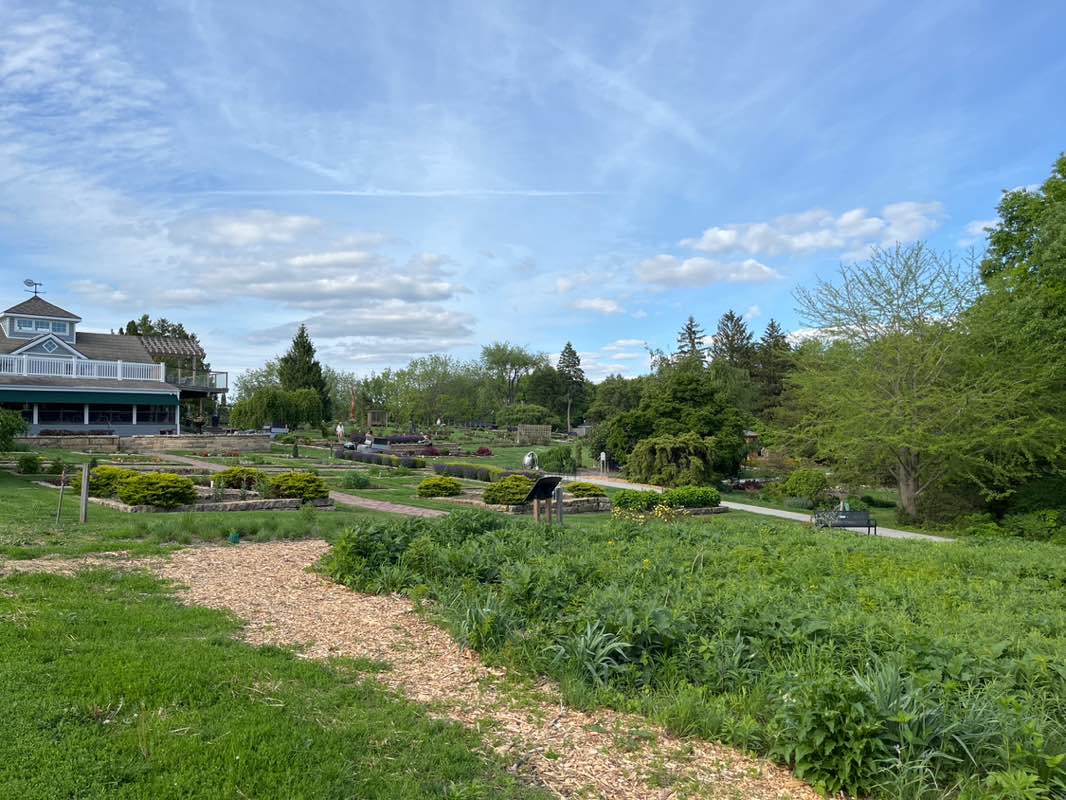 walking near me in Marshall Park in summer