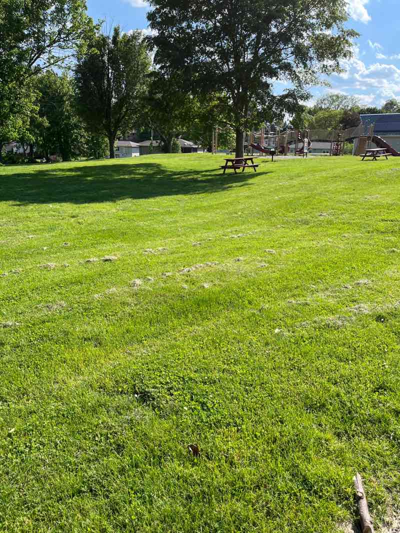 walking near me in Hillcrest Park in summer