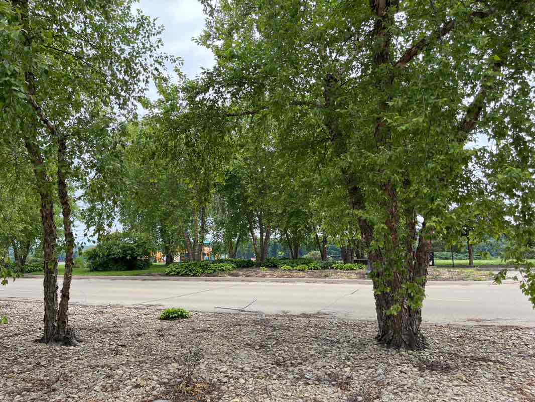 walking near me in A.Y. McDonald Park in summer