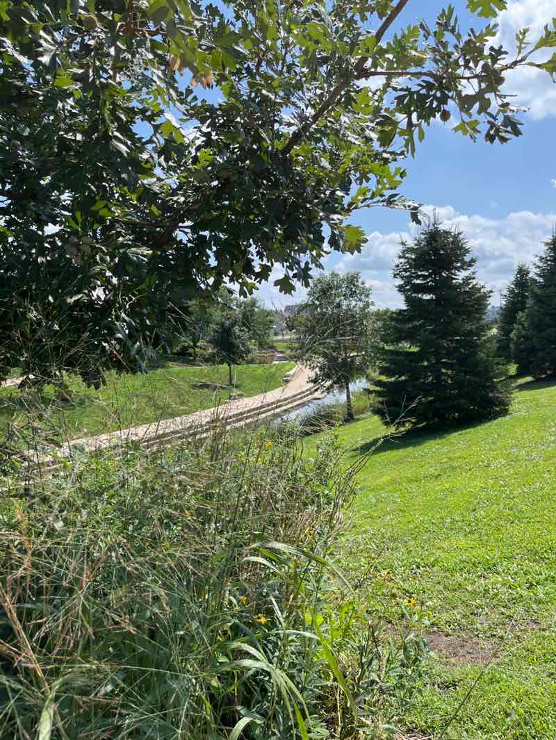 walking near me in Bee Branch Creek Greenway in summer