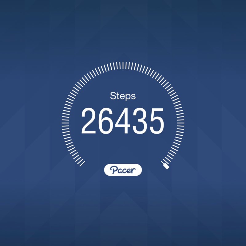 Alembic Stepathon - CV - SZ PacerPal post image