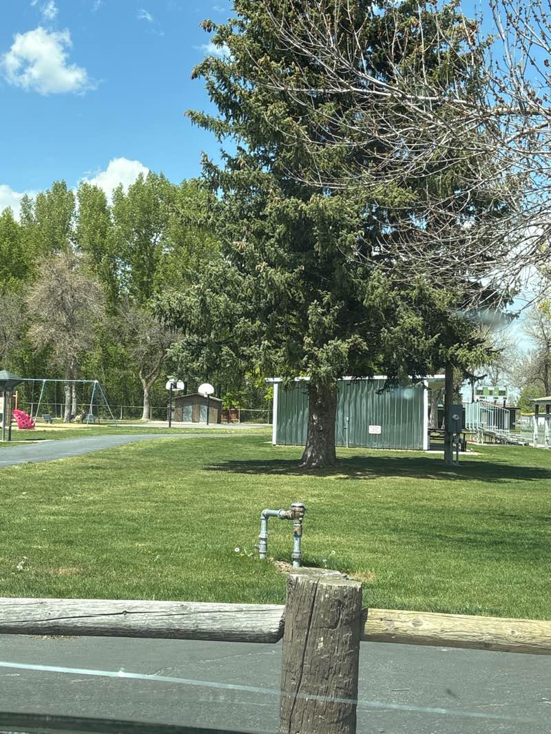 walking near me in Iona Park in spring