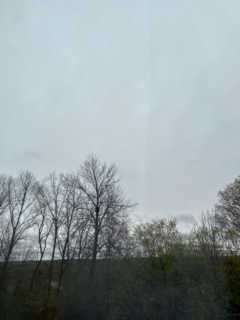 walking near me in Natchez Woods in spring