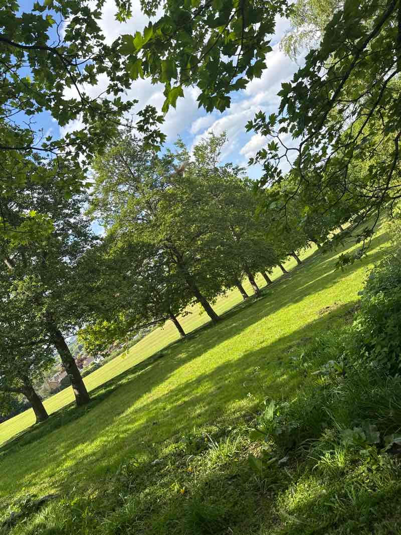 walking near me in Stevens Park in spring