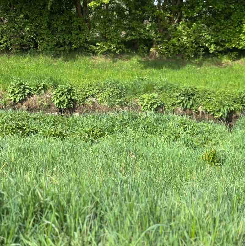 Spas modi Michaela Floriana Pütz post image