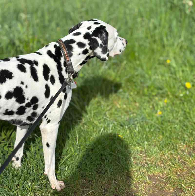 Spas modi Michaela Floriana Pütz post image