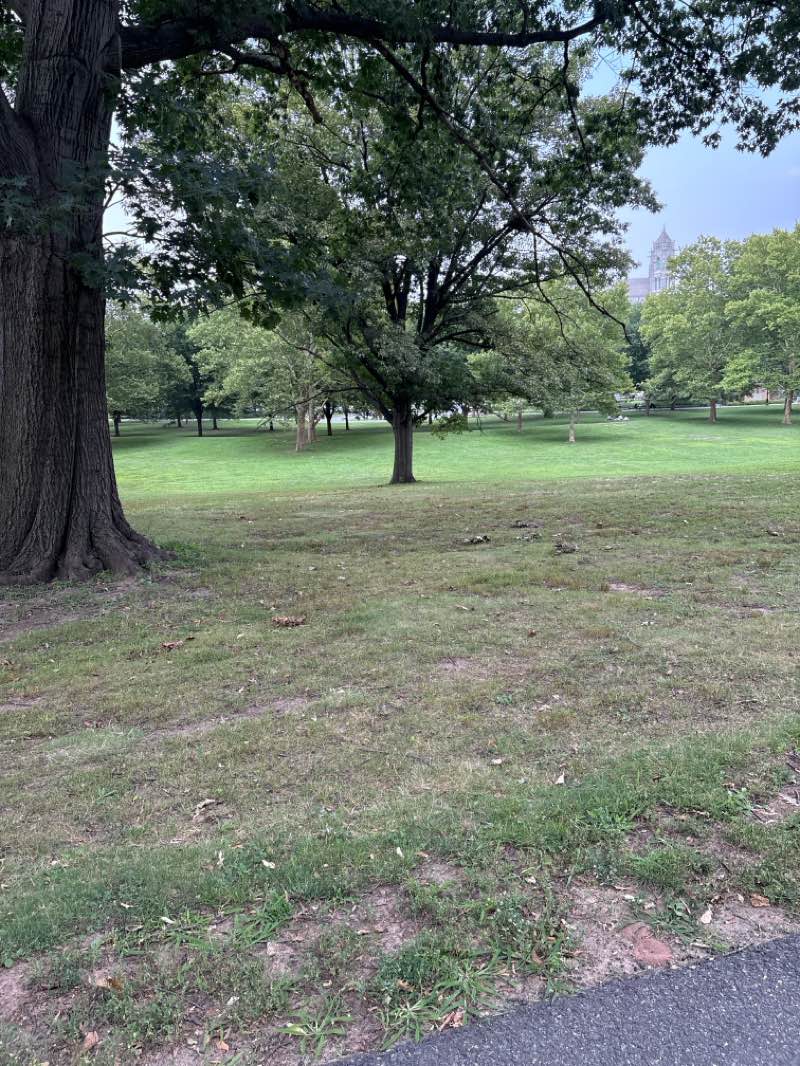 walking near me in Branch Brook Park in summer