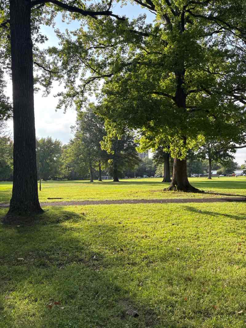 walking near me in Branch Brook Park in autumn