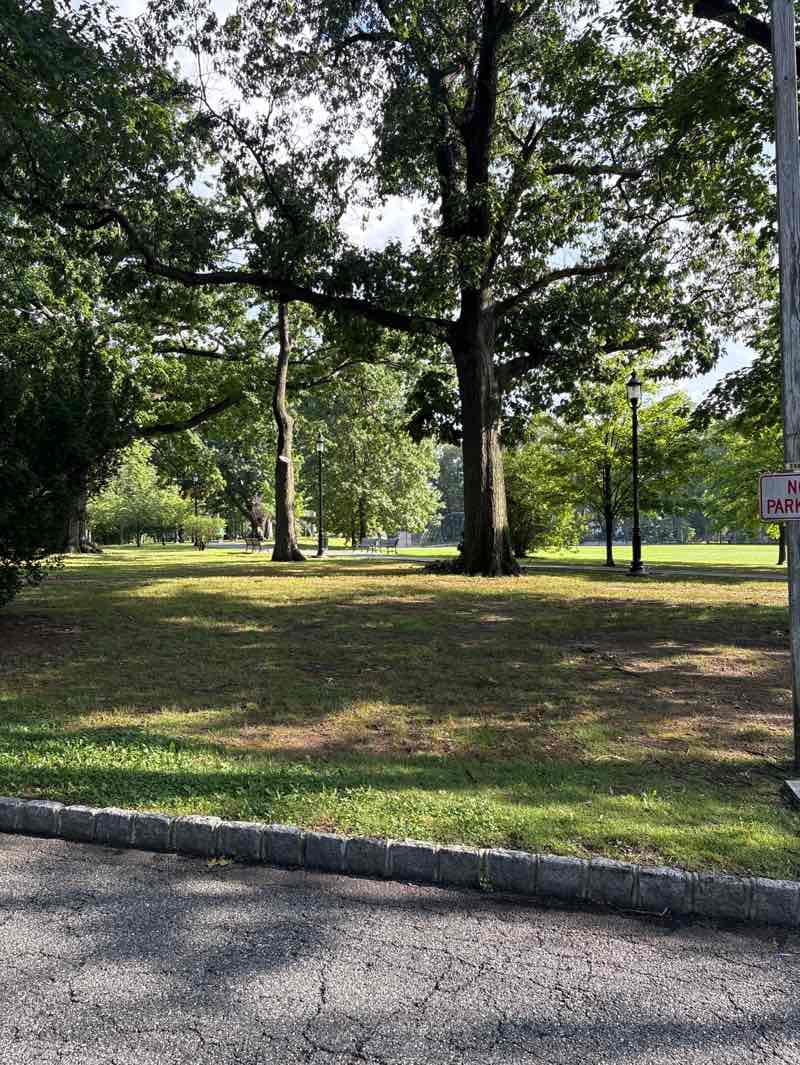 walking near me in Yantacaw Park in summer