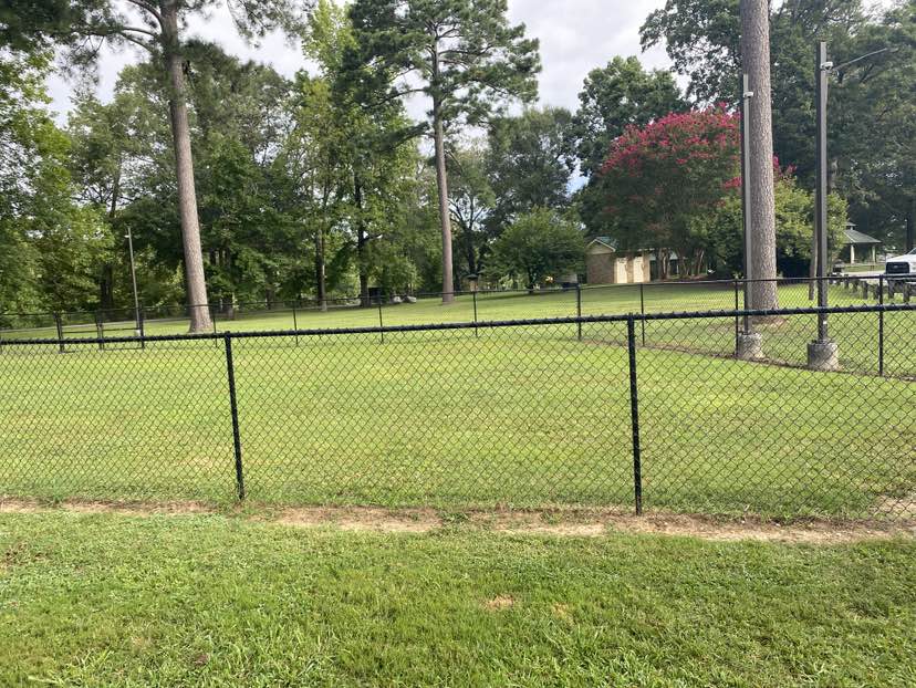 walking near me in Ridge Ferry Park in autumn