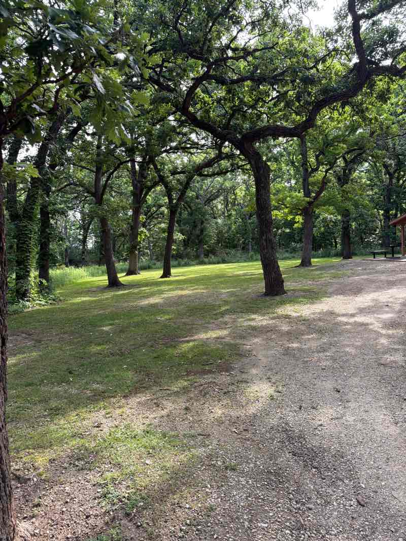 walking near me in Macktown County Forest Preserve in summer