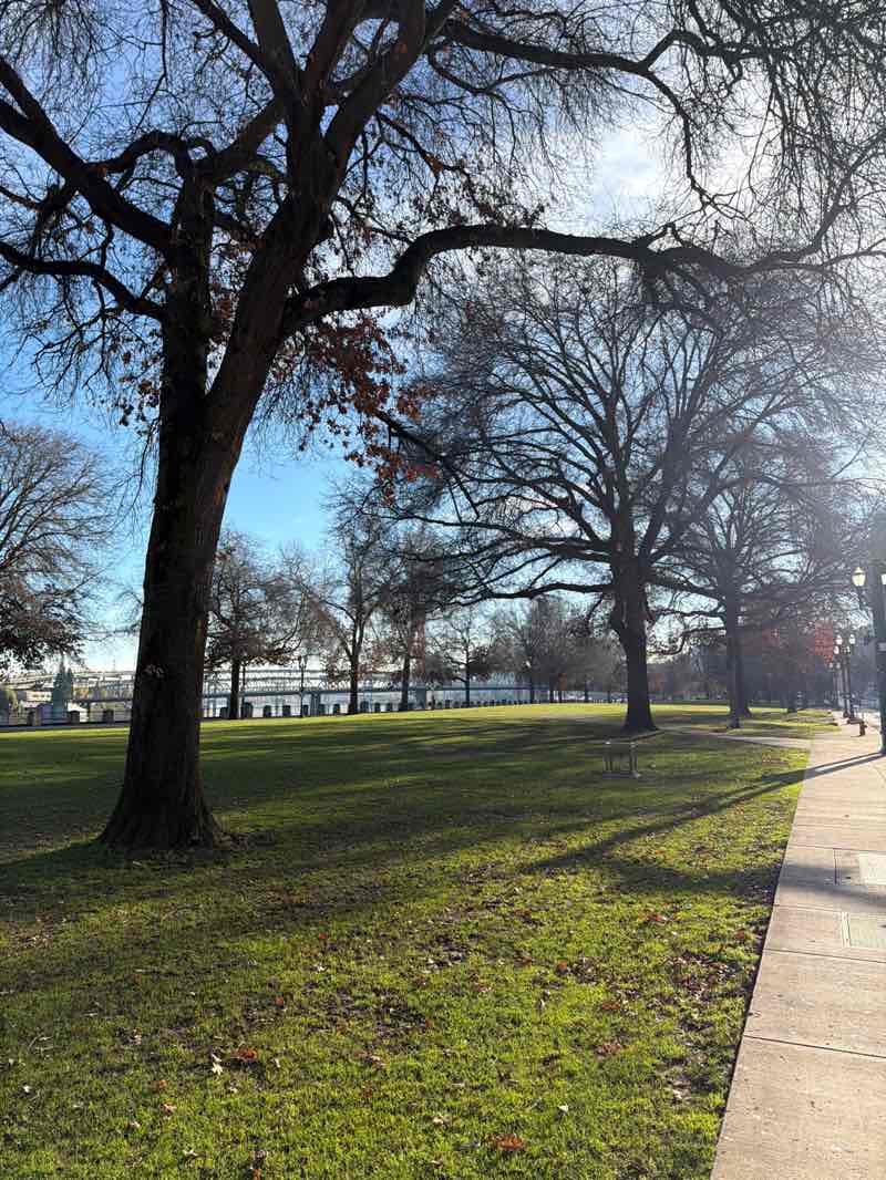 walking near me in Governor Tom McCall Waterfront Park in winter