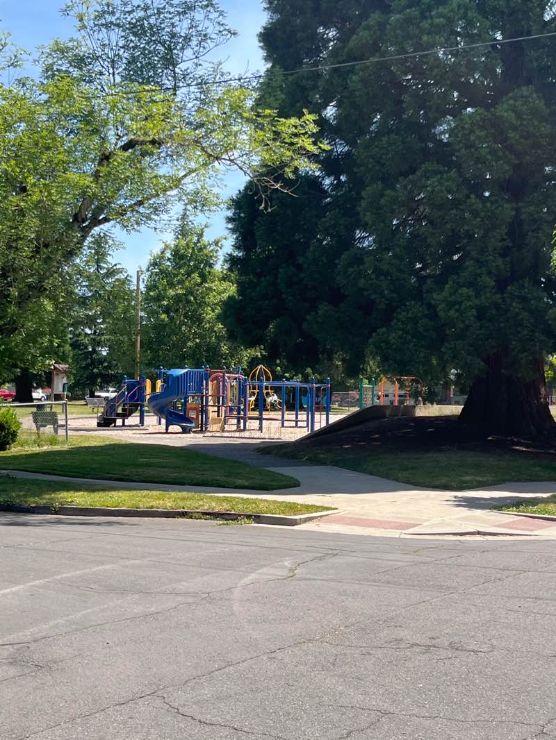 walking near me in McRae Park in summer