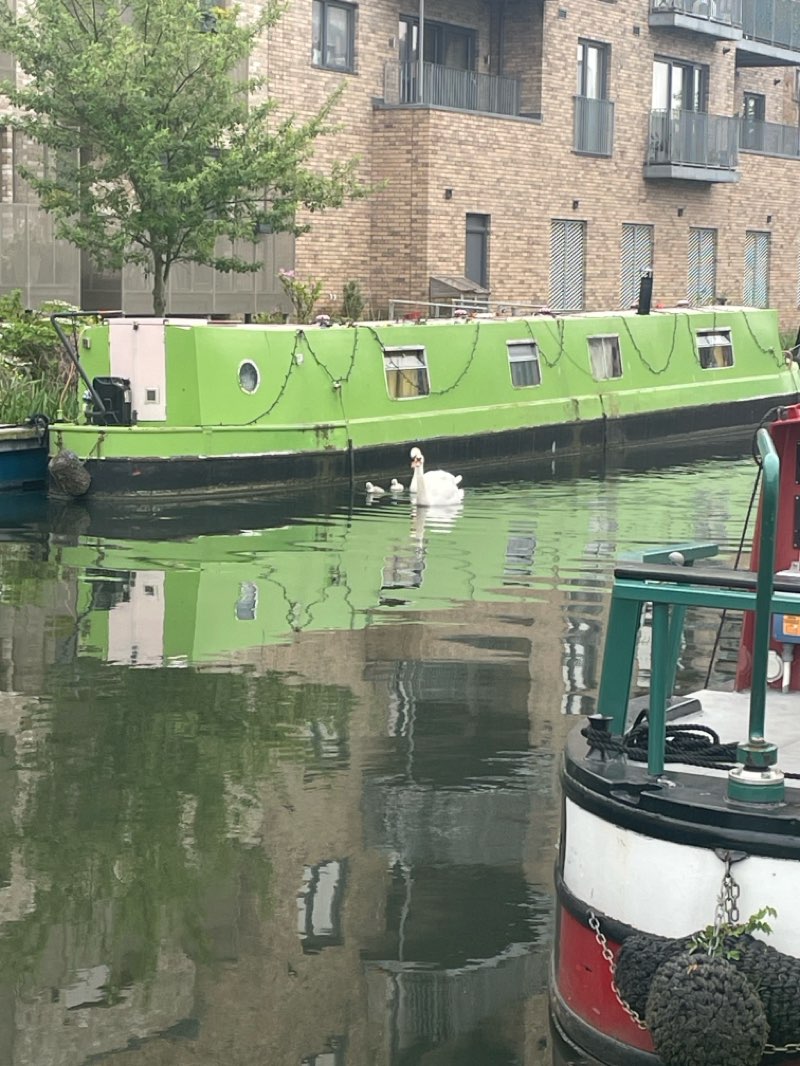 walking near me in Harrison Park West in spring