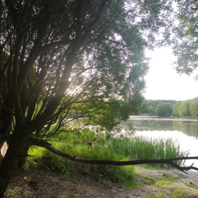 Шаговое братство Екатерина Петрова post image