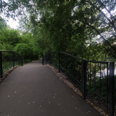 Шаговое братство Екатерина Петрова post image