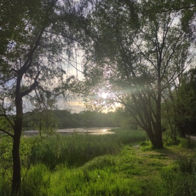 Шаговое братство Екатерина Петрова post image