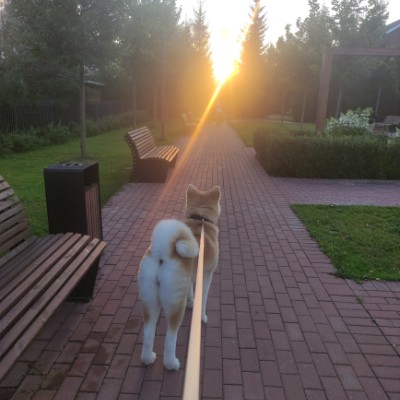 Мастера походки Екатерина Петрова post image