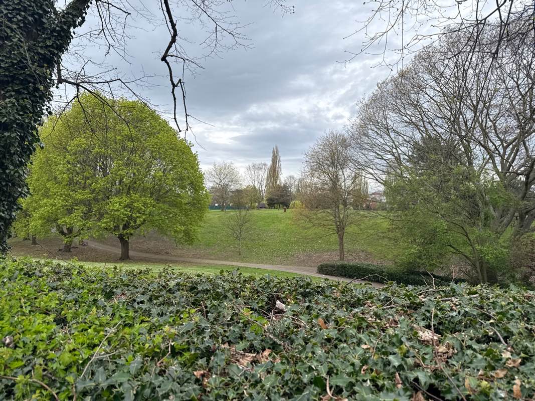 walking near me in Bellevue Park in spring