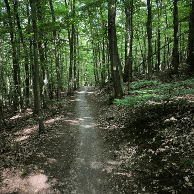 Medusa - chodci Stanislav Cerny post image