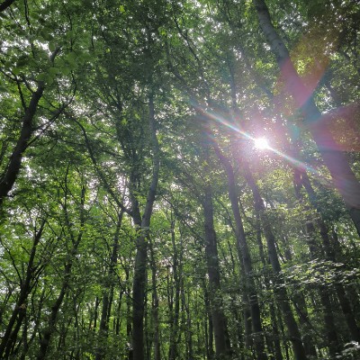 Medusa - chodci Stanislav Cerny post image