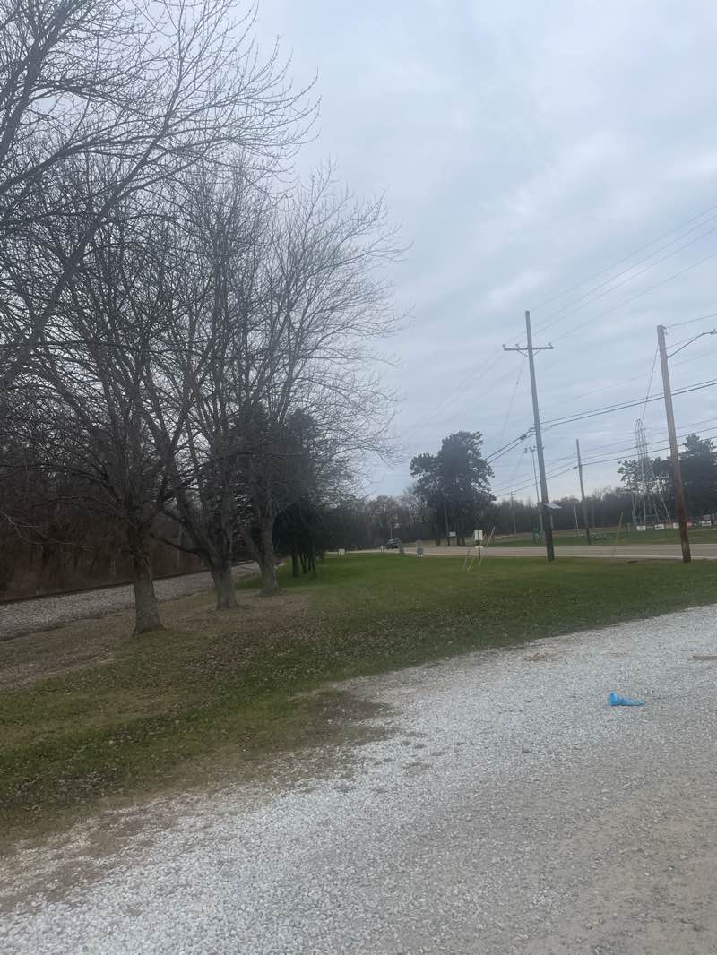 walking near me in Bolivar Waterworks Park in autumn