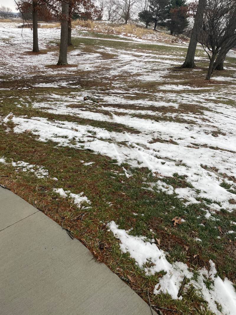 walking near me in Tam O'Shanter Park in winter