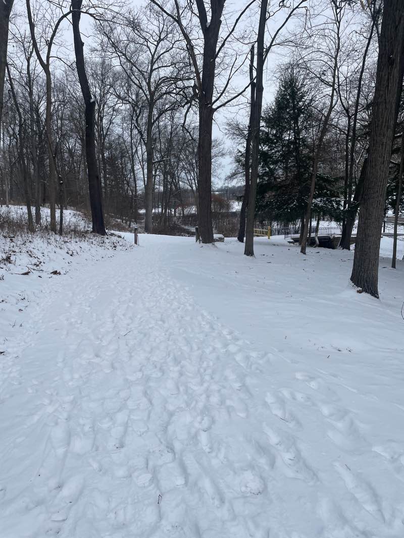 walking near me in Stadium Park in winter