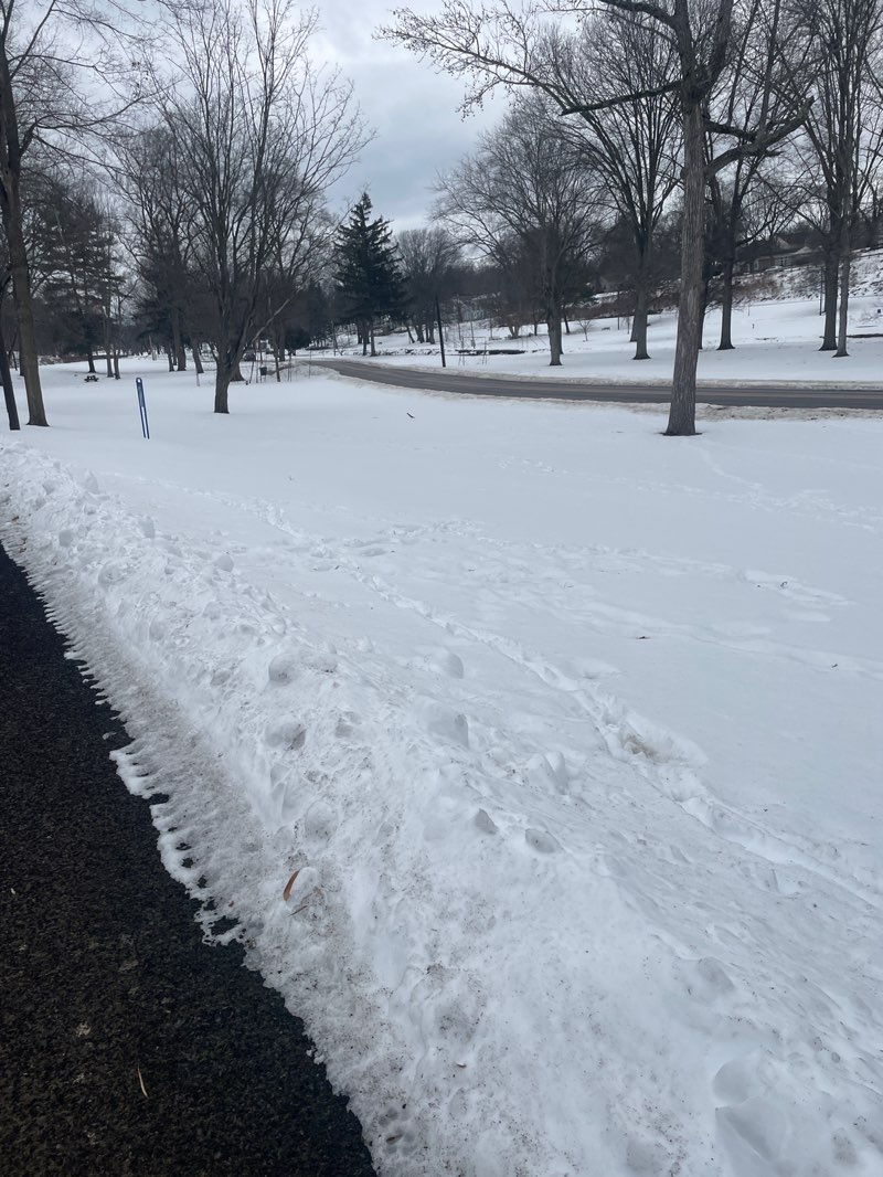 walking near me in Stadium Park in winter