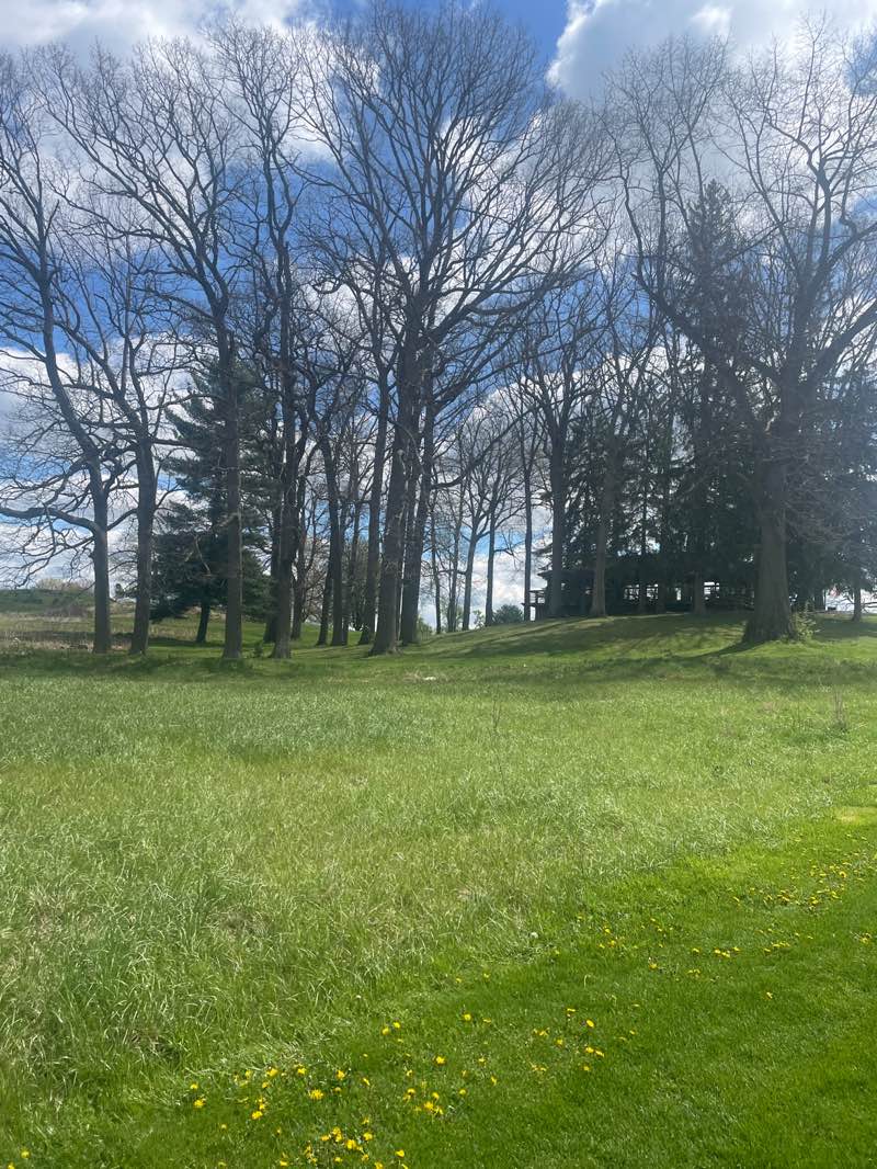 walking near me in Tam O'Shanter Park in spring