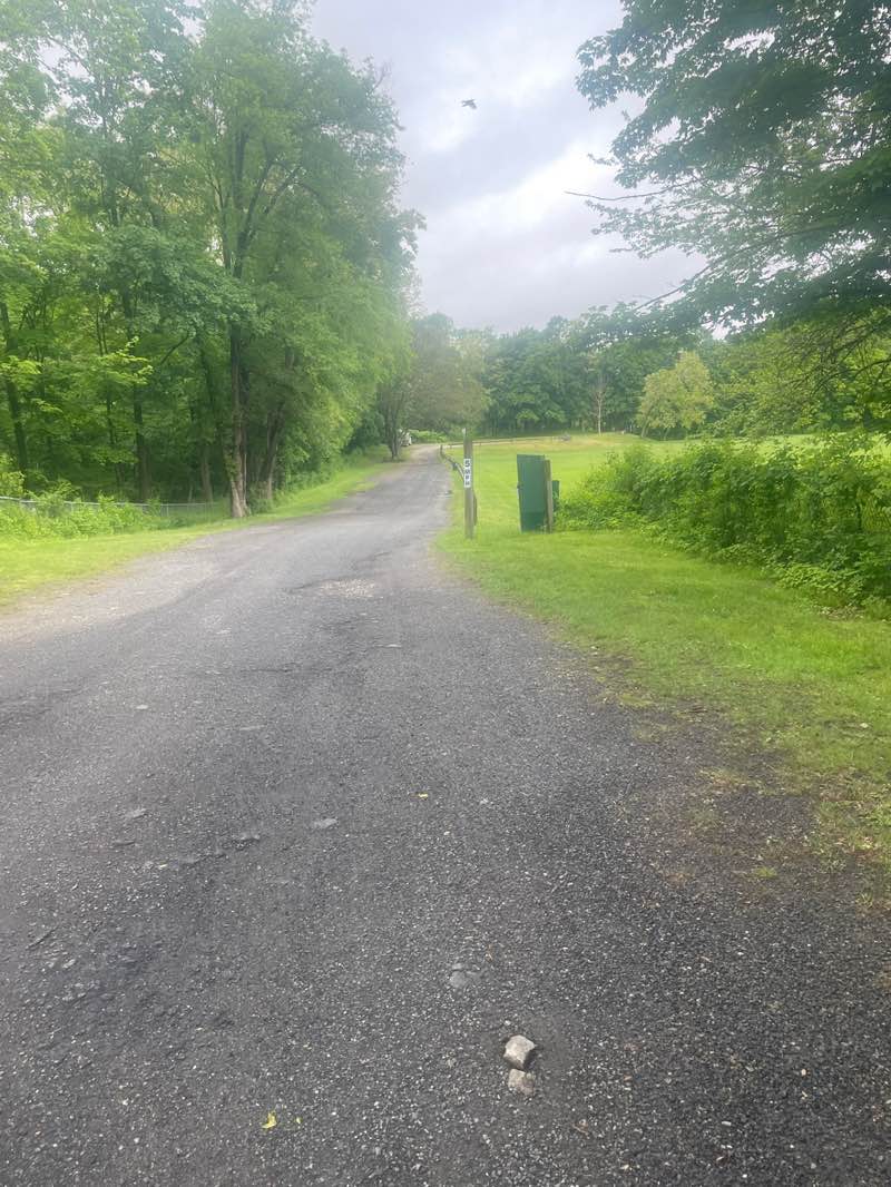 walking near me in Victory Recreation Fields in summer