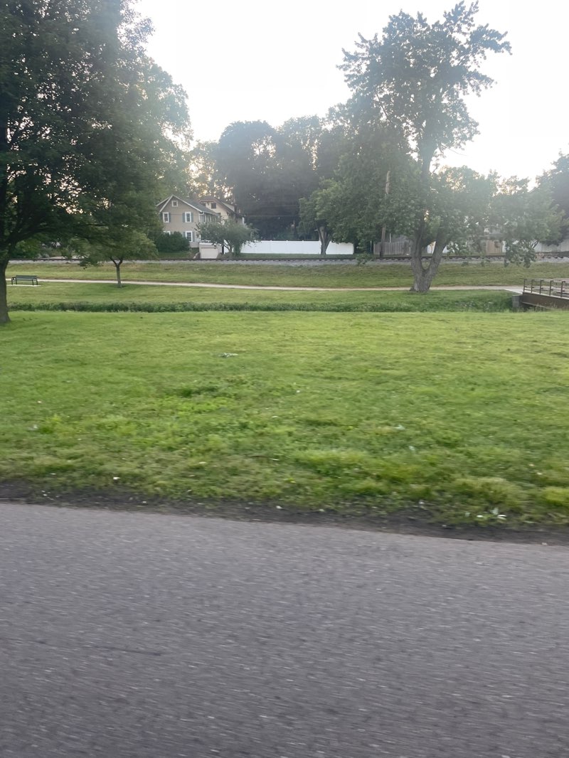 walking near me in Mckinley Memorial Park in summer