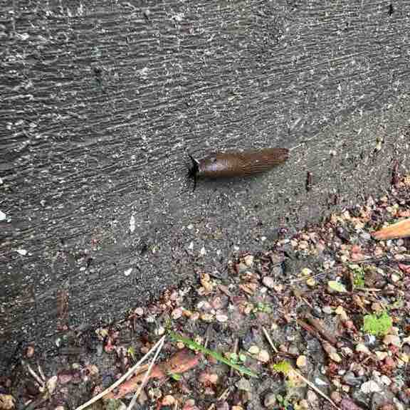 Red Hot Chili Steppers Роман Бреусов post image