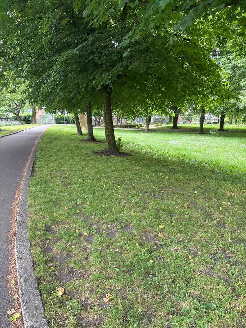 walking near me in People's Park in spring