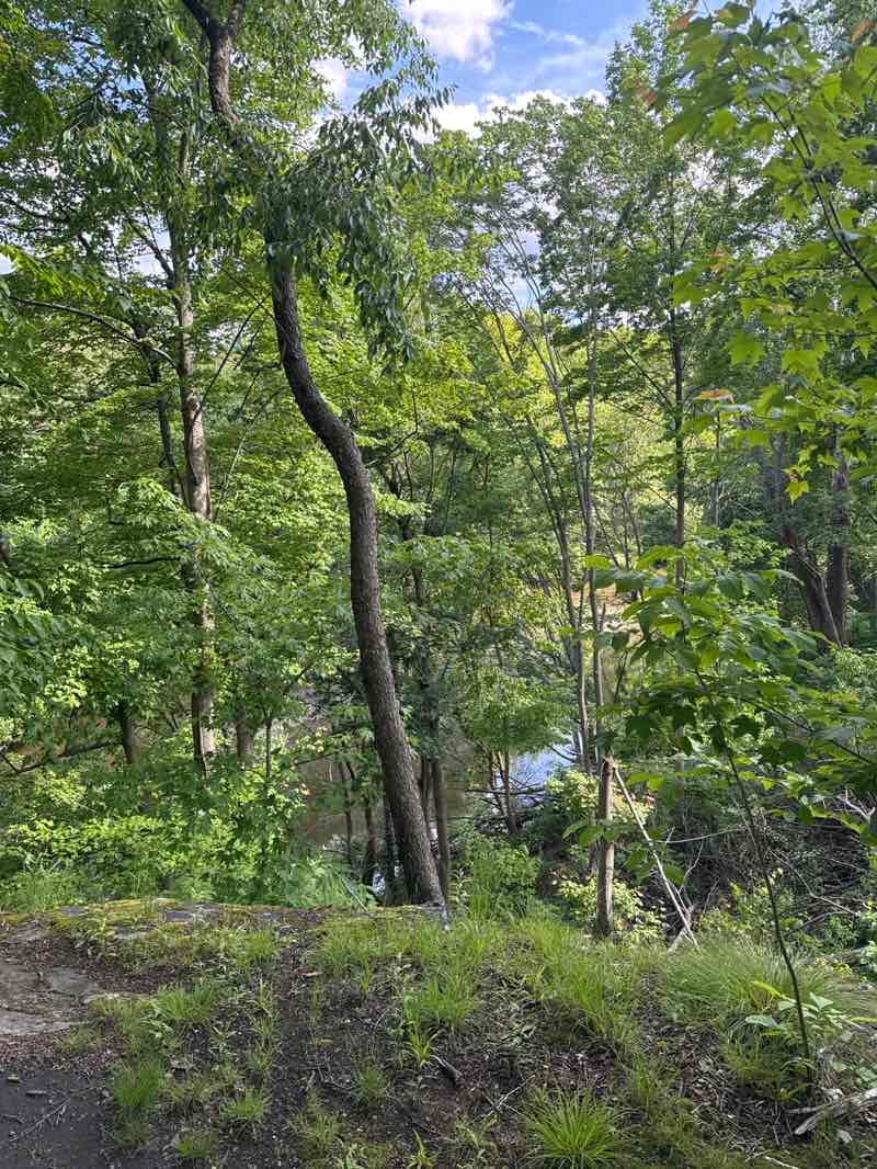 walking near me in Gorge Metropark in spring