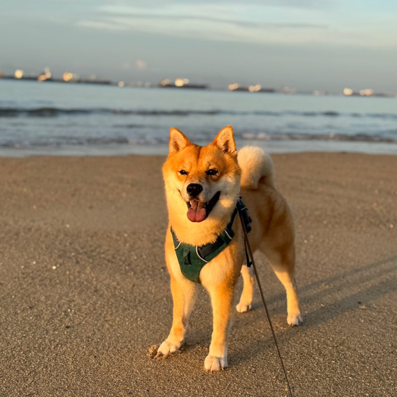 Josephine Ng profile