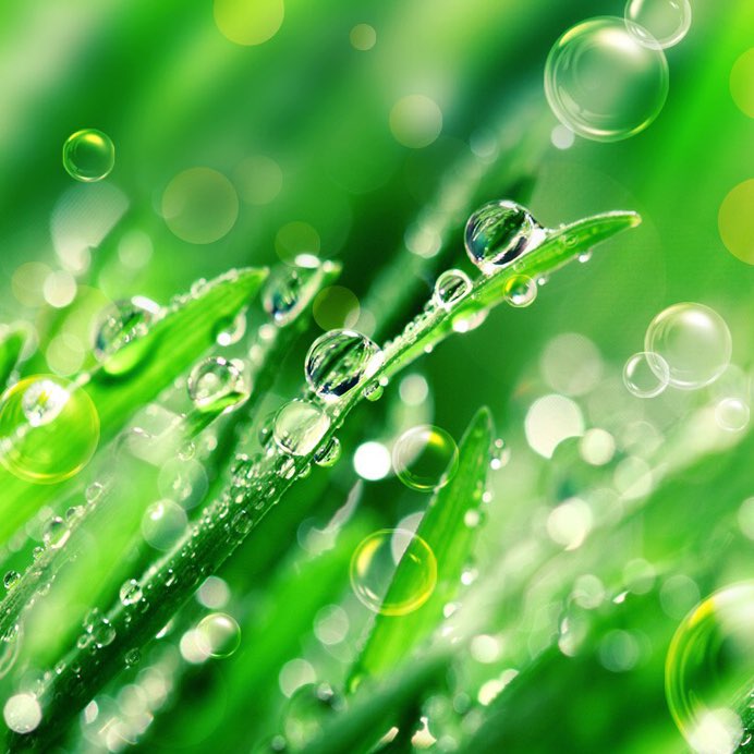 Ольга Метелёва profile