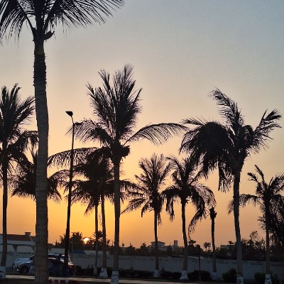 Jeddah Walking محمد حسن الدمار post image