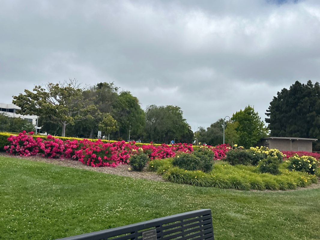 walking near me in Leo J Ryan Memorial Park in spring