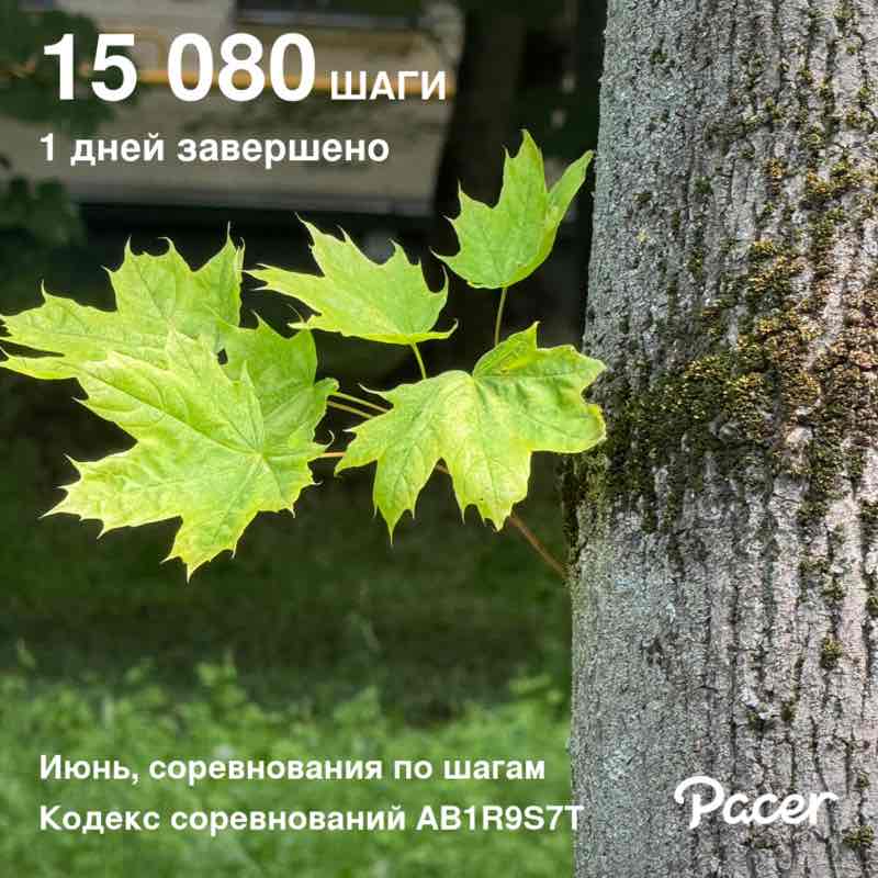 Артур Джанунц 🐯 post 1